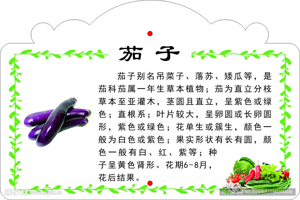 茄子介绍卡片