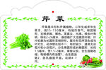 芹菜营养介绍