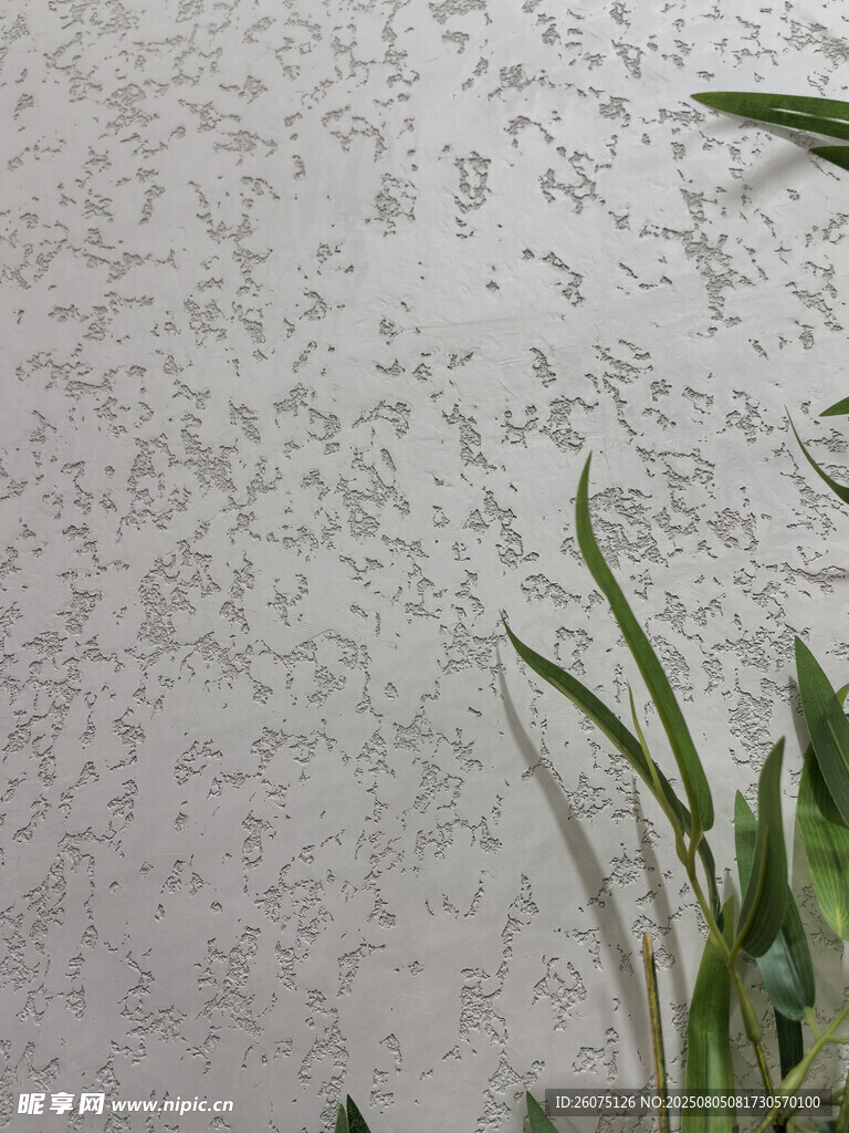 墙面纹理与绿植装饰简约景致