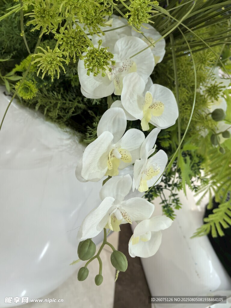 仿真白色兰花垂挂绿植间