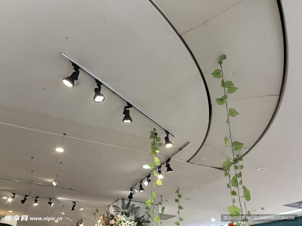 弧形天花板下的绿植灯光
