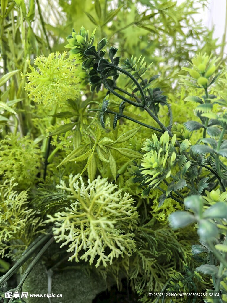仿真翠绿繁茂的植物景观