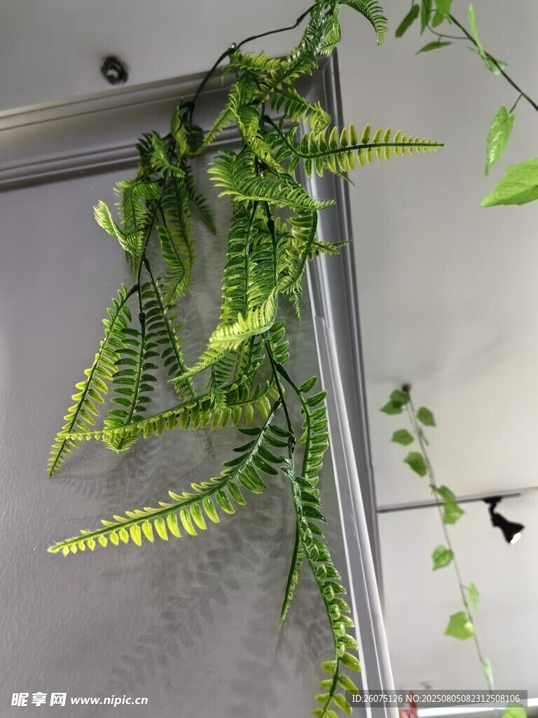 垂挂仿真蕨类绿植装点墙面