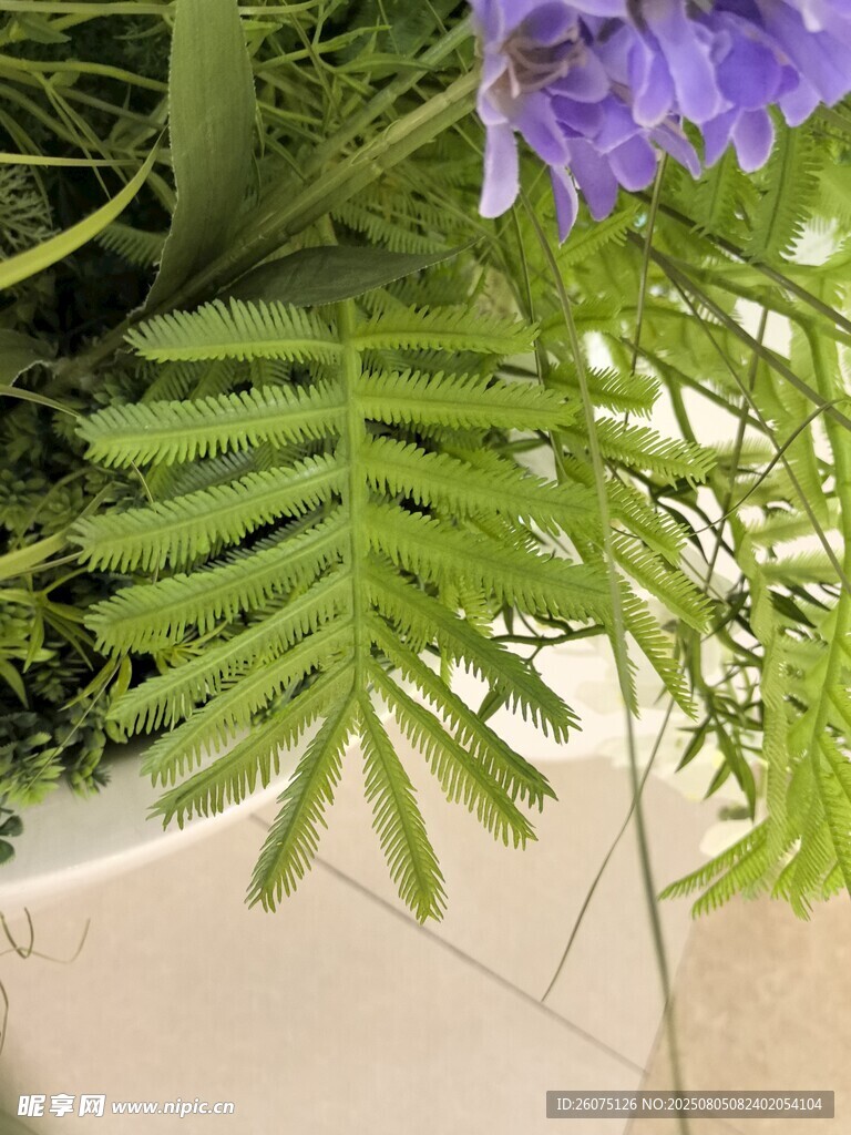 仿真紫色花朵旁的翠绿蕨类植物