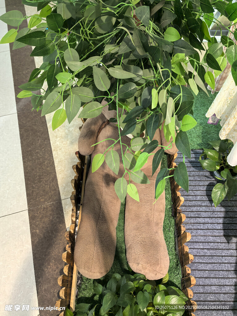 室内绿植装饰景观