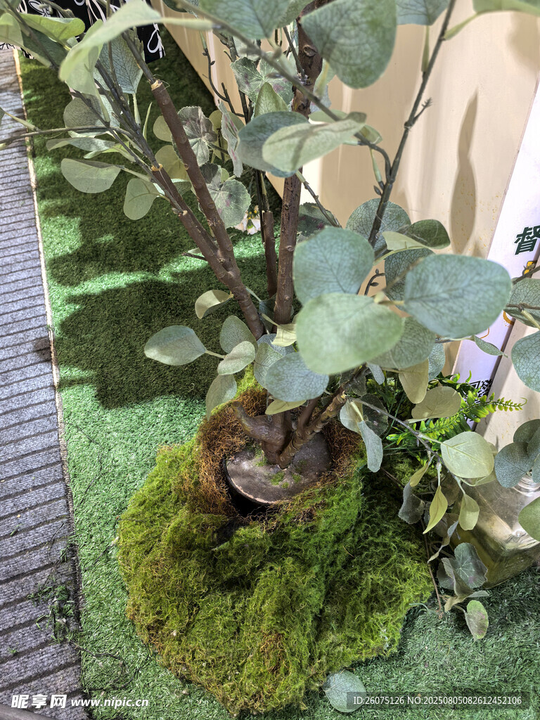 仿真苔藓覆盖的精致盆栽植物