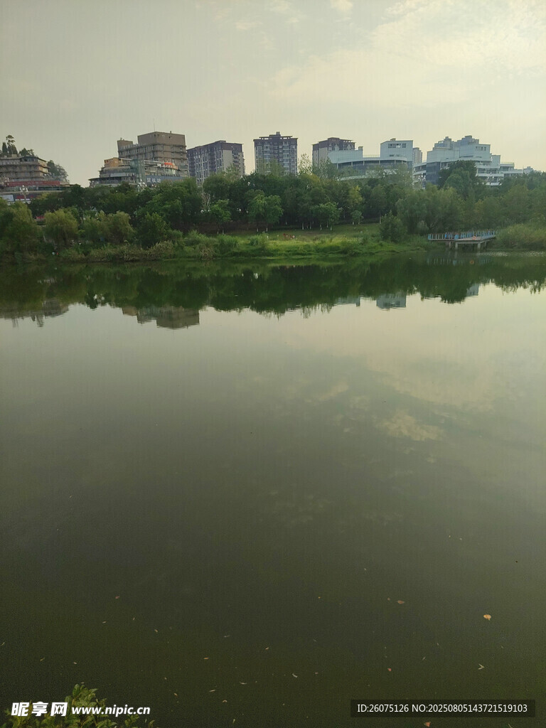湖畔城市风光