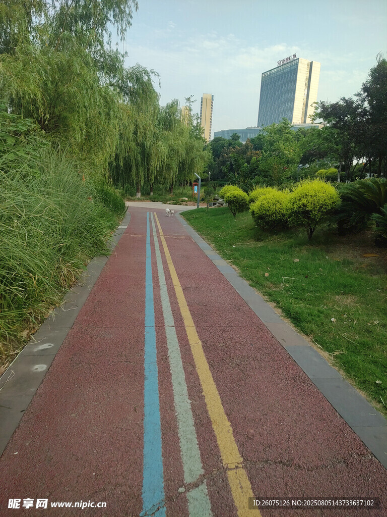 城市彩色步道
