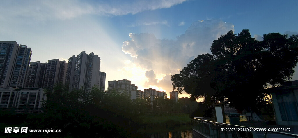 城市黄昏时的建筑与树木