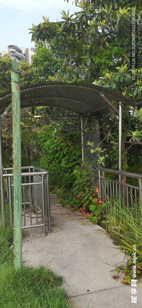 户外绿植环绕的步道景观