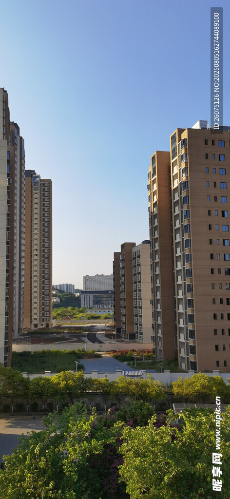城市高楼与绿植景观