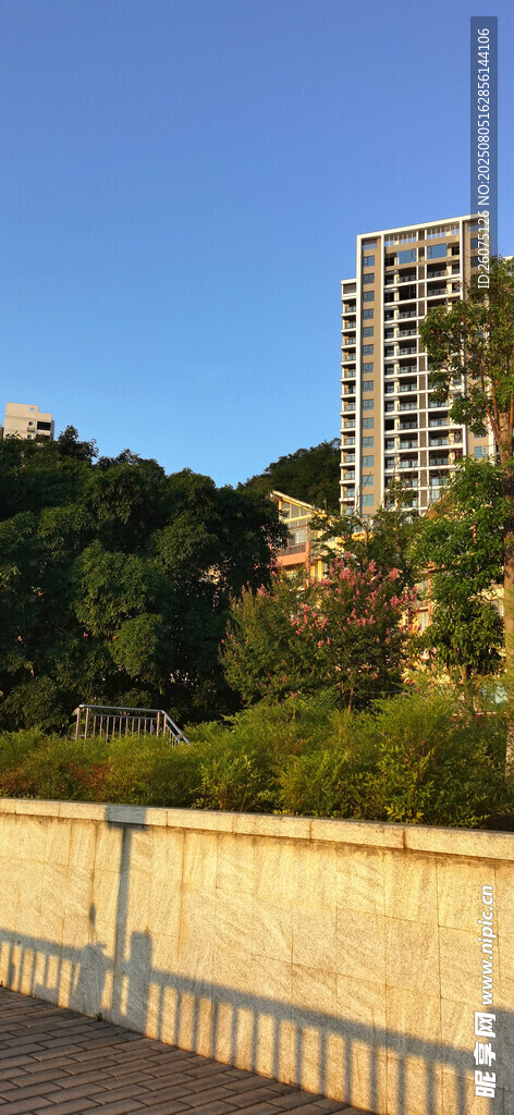城市江边高楼与绿植景观
