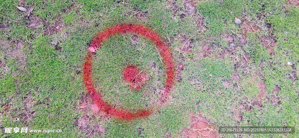 草地上的红色圆圈标记