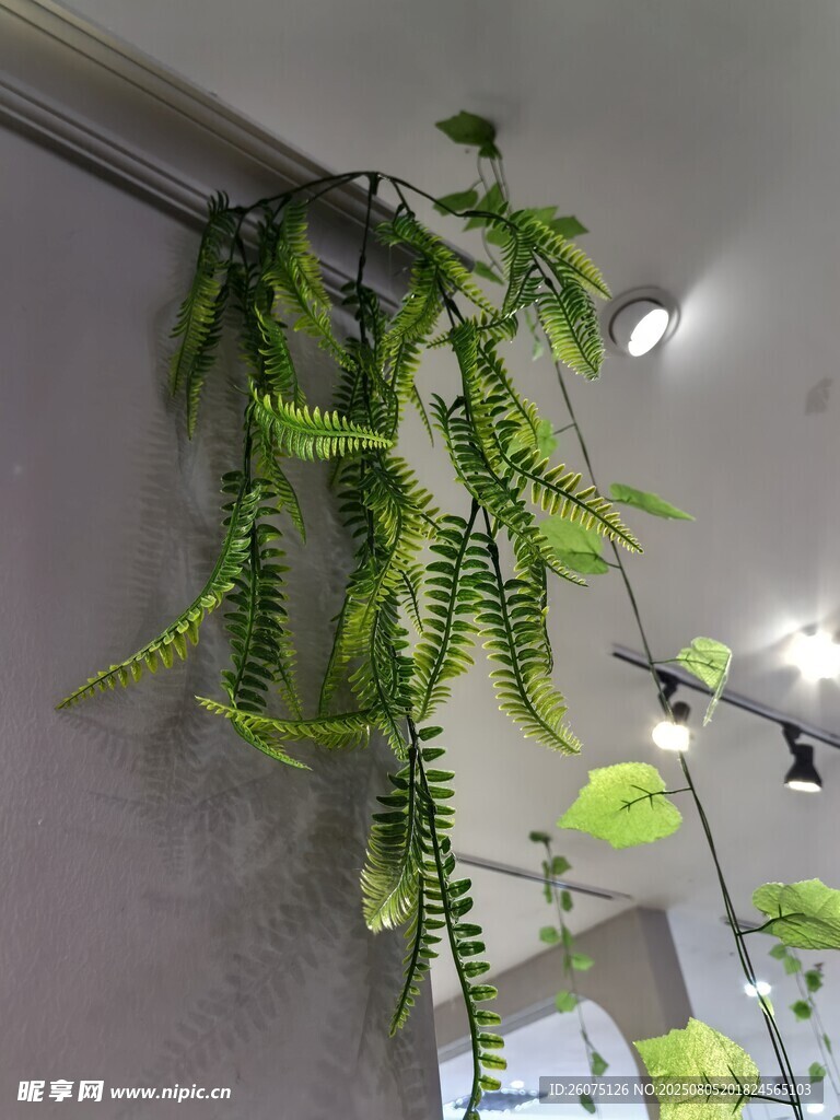垂吊仿真绿植装点室内空间