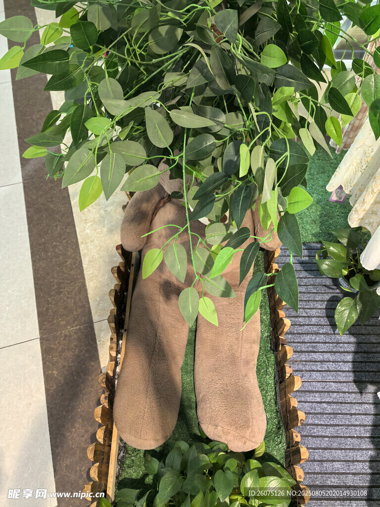 室内绿植装饰生机盎然