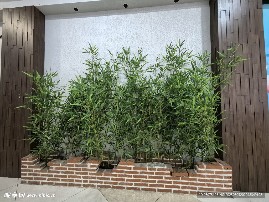 墙边仿真绿植景观