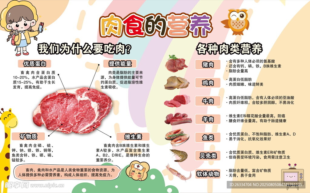 肉食的营养