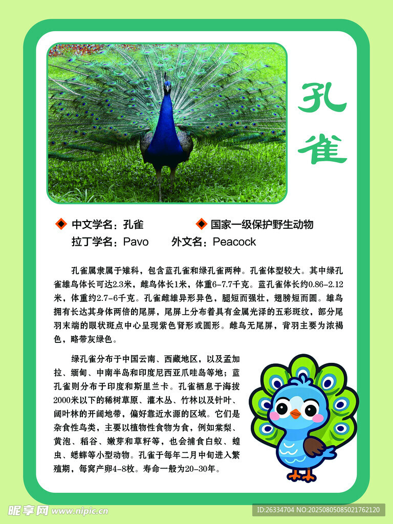 孔雀的简介
