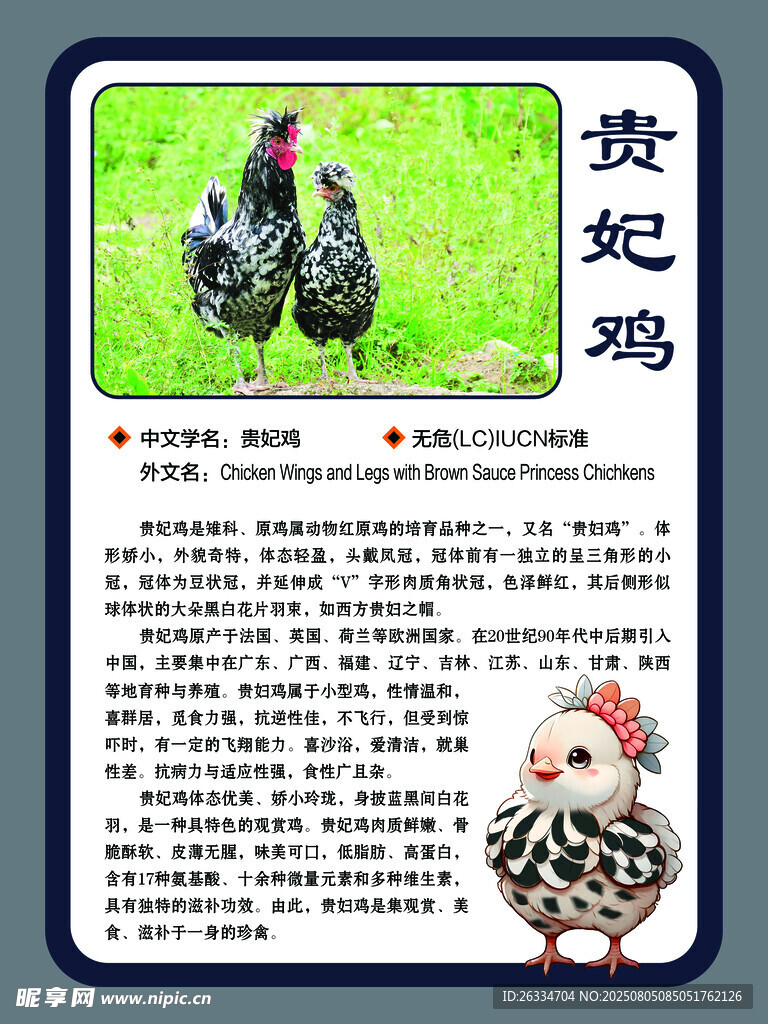 贵妃鸡简介
