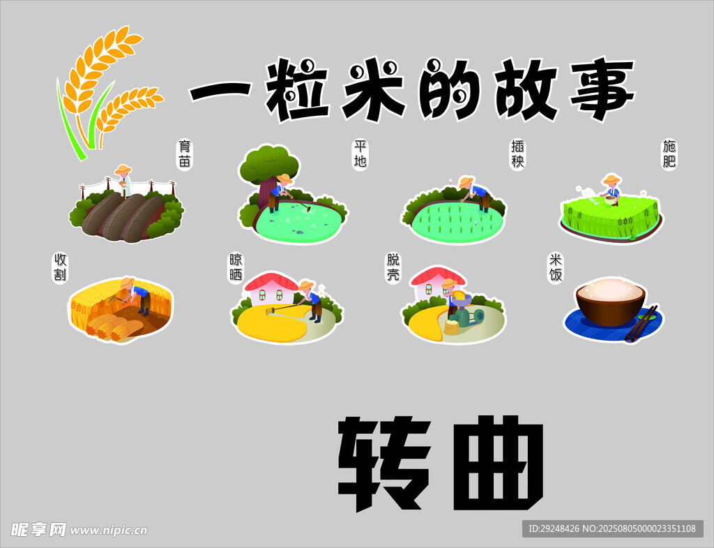 一粒米的故事
