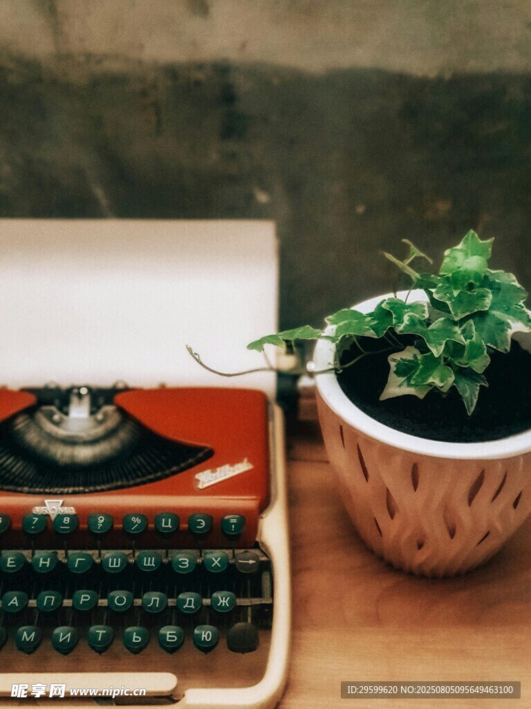 复古打字机旁的绿植生机