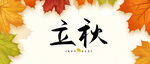 立秋时节公众号首