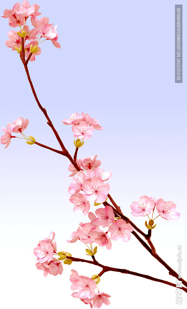 粉色花朵