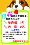 宠物店招聘美容师等人员