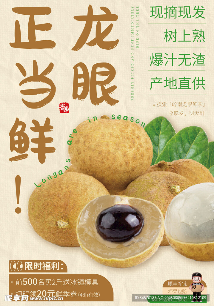 龙眼海报