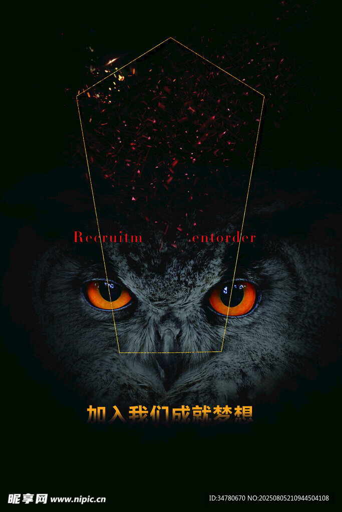 神秘猫头鹰的暗黑凝视
