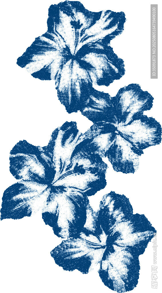 蓝白扶桑花图案