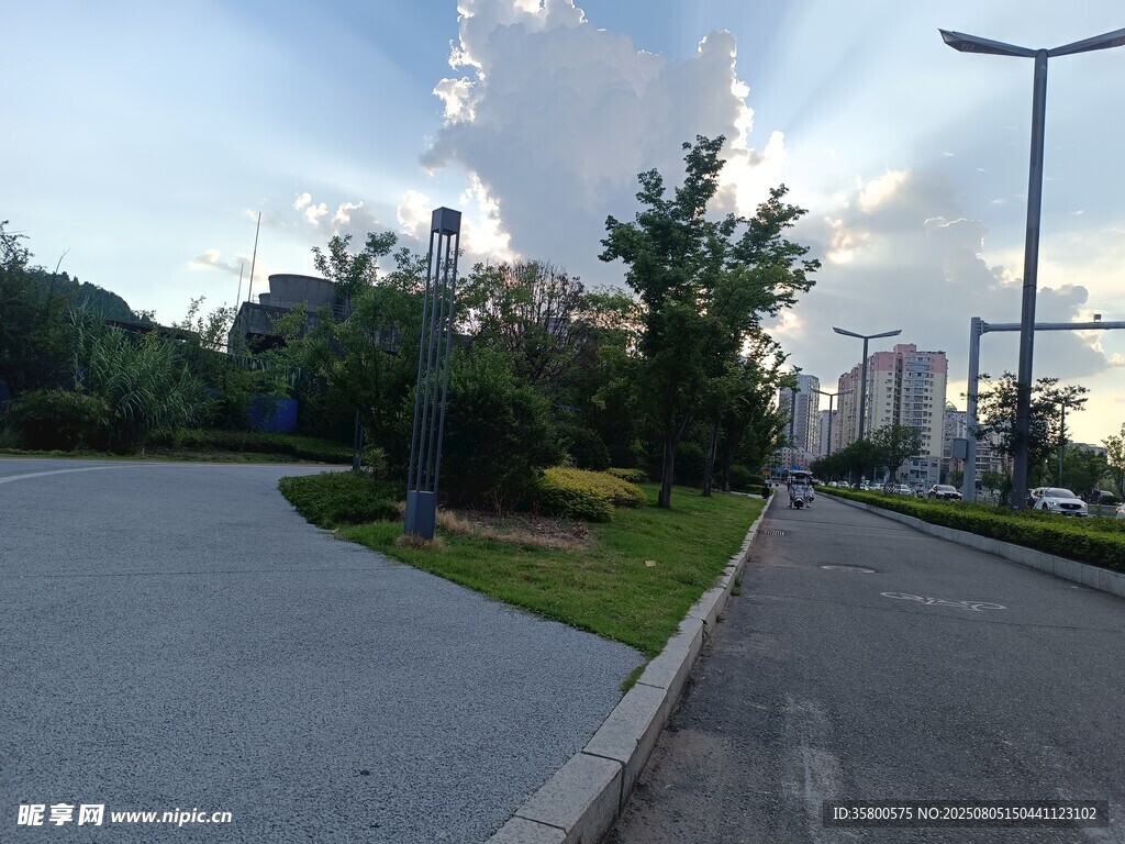 城市道路旁的绿植景观
