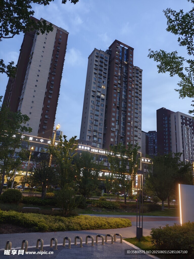 城市夜景中的高楼与绿化带
