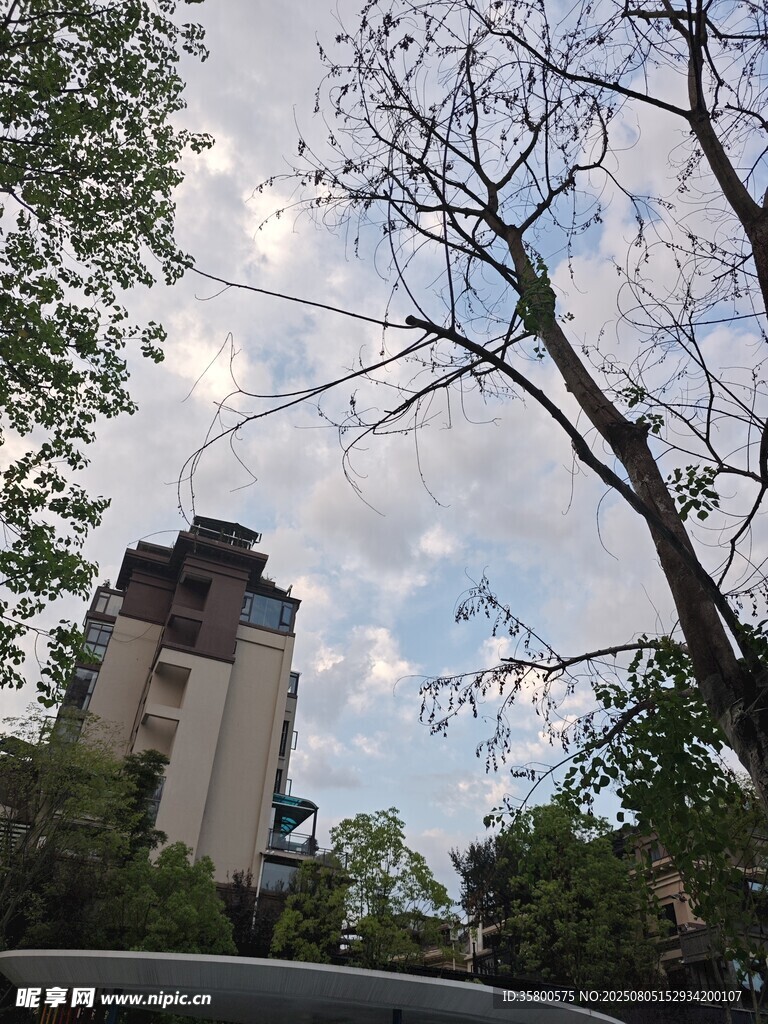 古楼掩映于绿树蓝天间