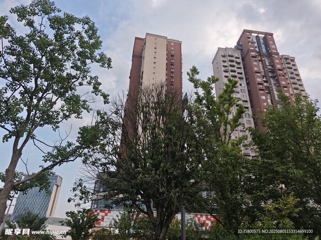 城市高楼与繁茂绿树景观