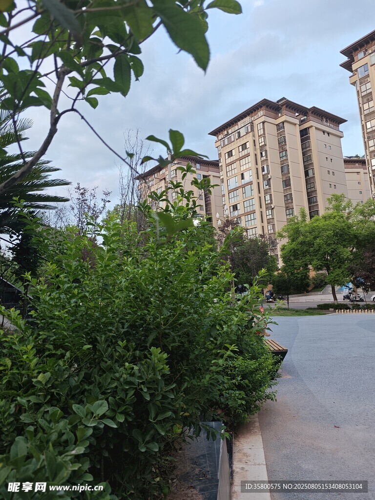 小区周边绿植与楼房景观