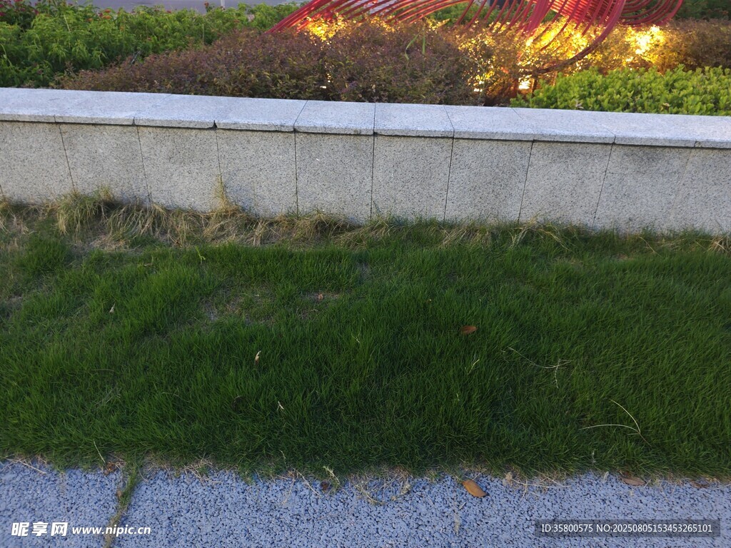 路边草地与矮墙景观