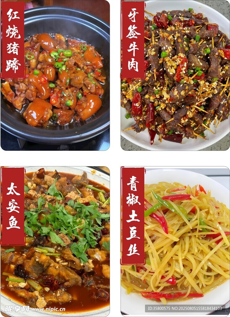 太安鱼