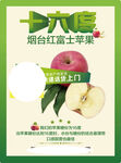 烟台红富士苹果六月上市