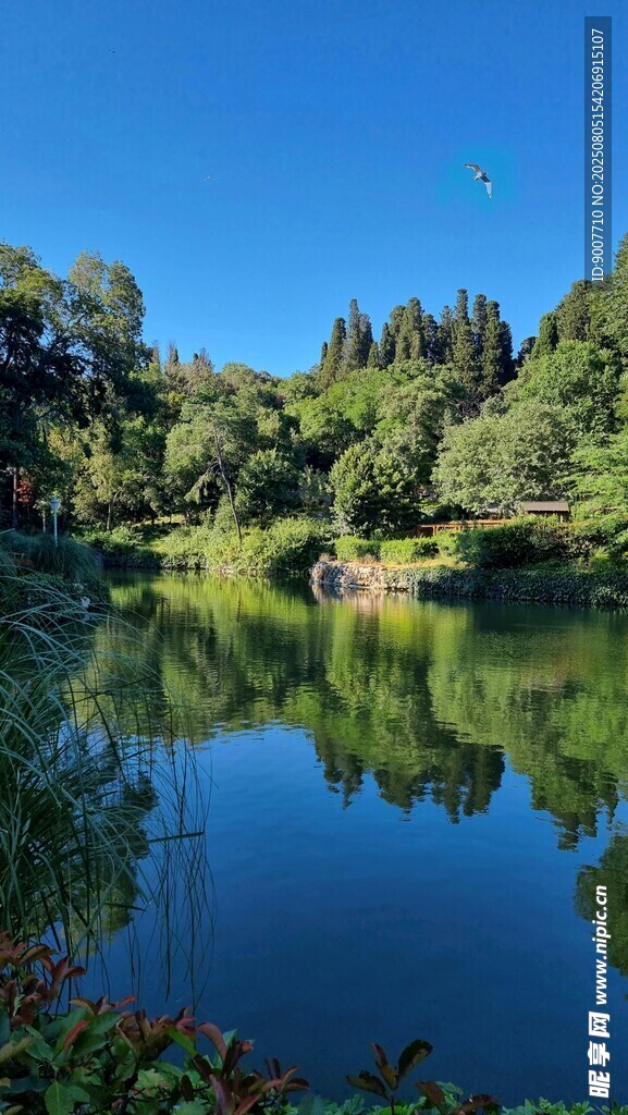 静谧湖畔山林美景