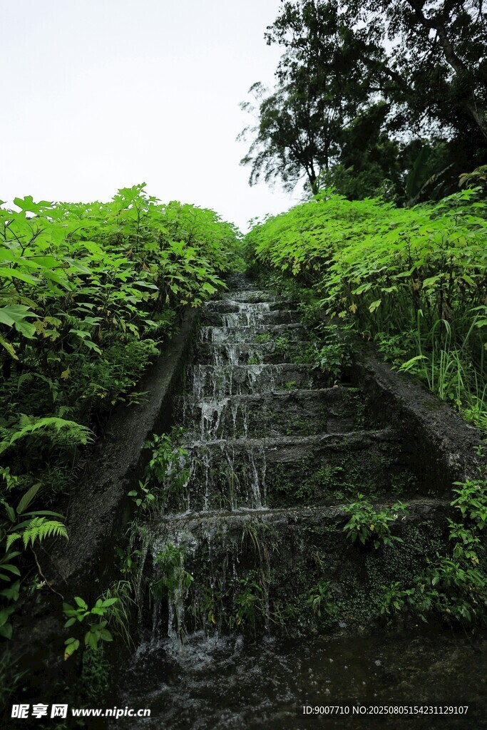 山间石阶瀑布绿植景观