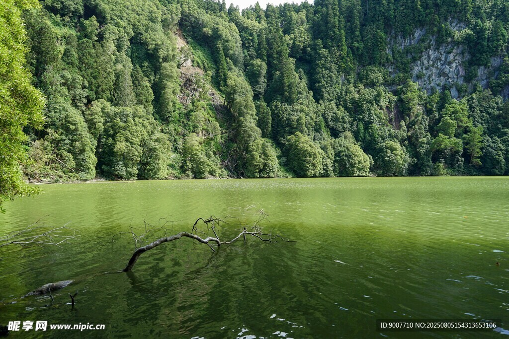 翠绿山林环绕的静谧湖水
