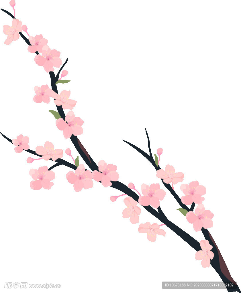 粉色桃花枝