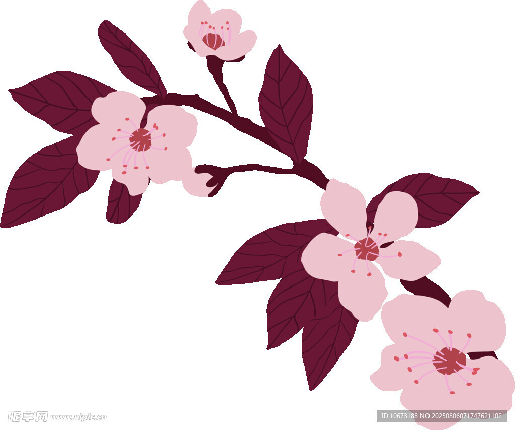 粉色花枝插画