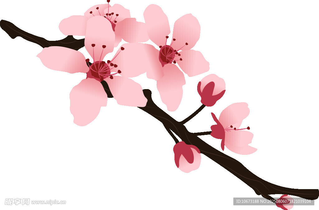 粉色桃花枝