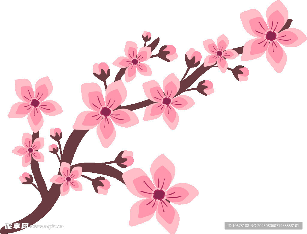 粉色樱花枝