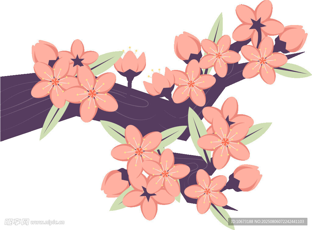 粉色花枝插画