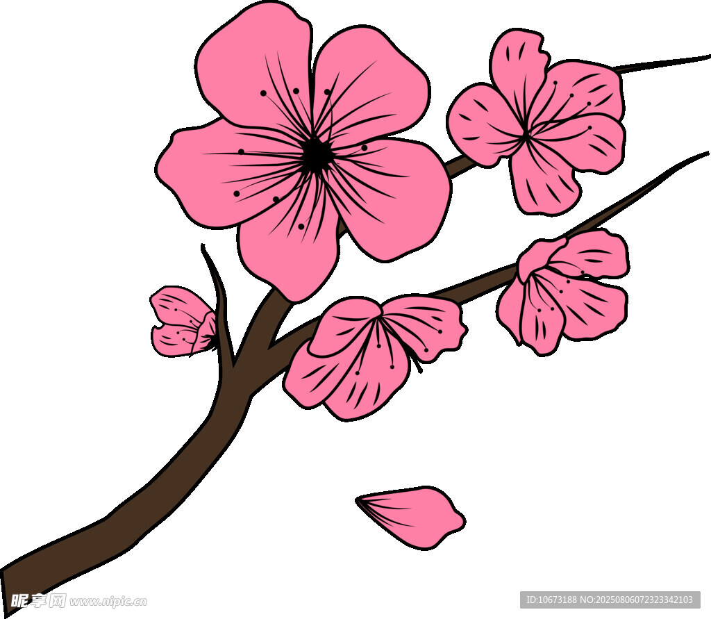 粉色樱花枝