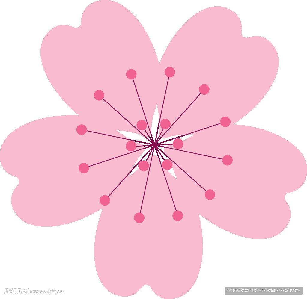 粉色樱花花朵图案