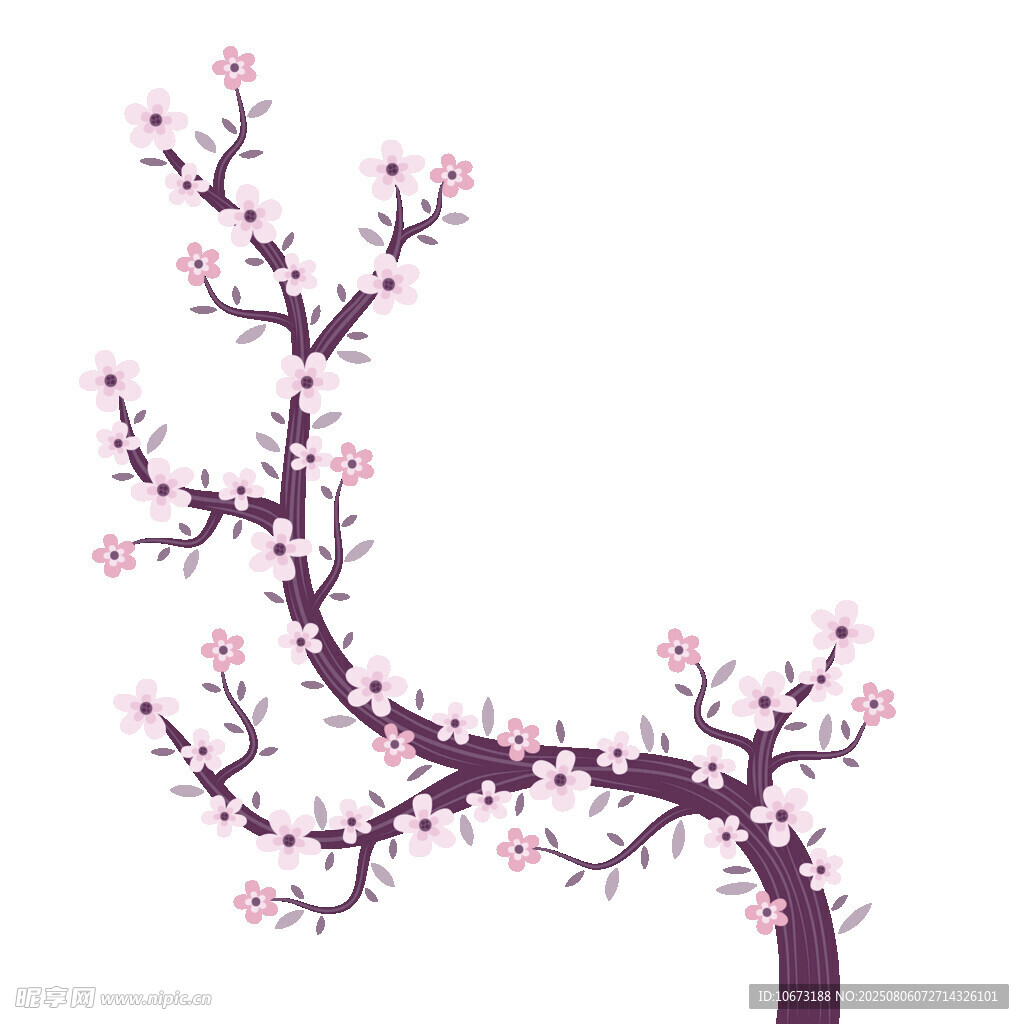 绽放的粉色花枝